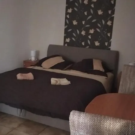 Timea Vendeghaz Guest house
