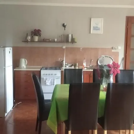 Timea Vendeghaz Demjen