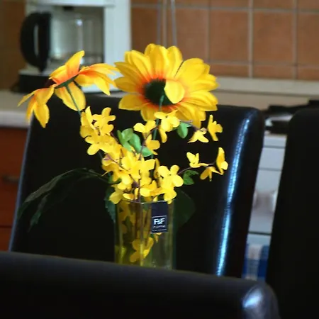 Timea Vendeghaz Guest house